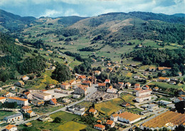 88 - Fresse-sur-Moselle - C.P.S.M. - Un Beau Panorama Aérien Colorisé Sur Le Centre - La Colline - Fresse Sur Moselle