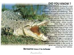 (HH 26) Australia - QLD - Normanton - Did You Know With Crocodile - Far North Queensland