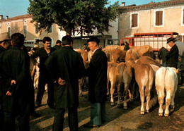 CPM - Le Marché Aux Veaux - Scène De La Vie Rurale … - Edition F.Loubatières - Fairs