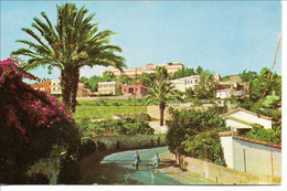 Santa Brigida.vista Parcial.  Las Palmas De Gran Canaria.  Spain. # 02747 - La Palma