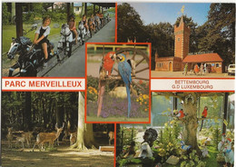 BETTEMBOURG SOUVENIR DU PARC MERVEILLEUX - Bettembourg