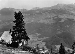 Naturfreudehaus Am Vorderälpele Mit Hoher Freschen Felkirch   (15 X 10 Cm ) - Feldkirch