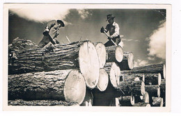 US-826  NORTH-IDAHO : Lumber Is King - Otros & Sin Clasificación