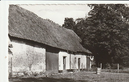 Zutendaal : Oude Hoeve - Zutendaal