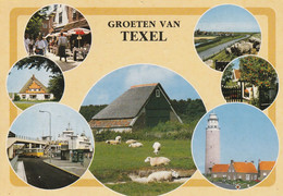 Texel, 7 Foto's, Vuurtoren, Veerboot, Autobus AOT - Texel