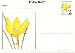 Turkey; 1994 Surcharged (A/30 L.) Postal Stationery With The Subject Of Flowers - Postwaardestukken