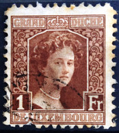 LUXEMBOURG                         N° 107                               OBLITERE - 1914-24 Marie-Adelaide