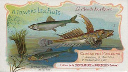 Chromo Aiguebelle 11,5 X 6.5 Le Monde Sous-marin - A Travers Les Flots - Aiguebelle