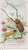 Chromo Aiguebelle 11.5 X 6.5 - Le Monde Des Insectes - Aiguebelle