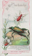 Chromo Aiguebelle 11.5 X 6.5 - Le Monde Des Insectes - Aiguebelle