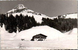 6003 - Tirol - Saalbach , Burgeralm - Gelaufen - Saalbach