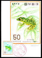 JAPAN (1976) Green Tree Frog. Maximum Card With Thematic Cancel. Scott No 1261, Yvert No 1195. - Maximumkarten