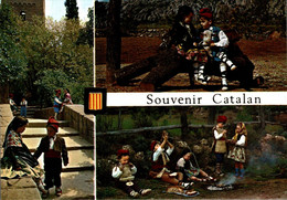 Folklore Du Roussillon  CPM Ou CPSM - Roussillon