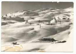 K4950 Vipiteno Sterzing (Bolzano) - Rifugio Monte Cavallo Rosskopfhutte - Panorama Invernale / Viaggiata 1963 - Vipiteno
