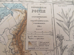 Carte Géographique Ancienne/Russie /Physique Et Hydrographique/Avec Bordure De Faune Et De Flore/1865  PGC376 - Slav Languages