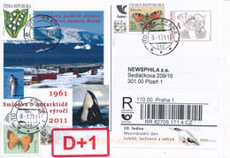 Czech Rep. / Comm. R-label (2021/02) Praha 1: Day Of Seals, Sea Lions And Whales (Balaenoptera Acutorostrata) (X0017) - Antarktischen Tierwelt