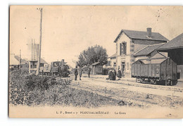 CPA 29 Ploudalmezeau La Gare Et Le Train Tramway - Ploudalmézeau