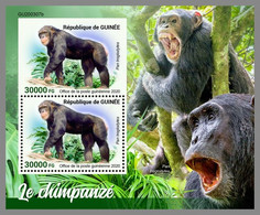 GUINEA REP. 2020 MNH Chimapanzee Schimpansen Chimpanze S/S - OFFICIAL ISSUE - DHQ2108 - Chimpansees