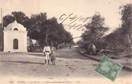 1908 Tunis - Le Bardo ( Palais Du Bey ) - Allée Conduisant Au Palais. - Tunisie