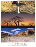 (JJ 5) Australia - WA - Kimberley (with Grasshopper Insect Stamp) - Andere & Zonder Classificatie