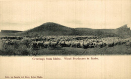 GREETINGS FROM IDAHO WOOL PRODUCERS IN IDAHO  USA EEUU - Autres & Non Classés