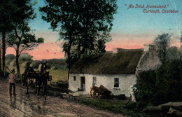 Irlande, Mayo - An Irish Homestead - Turlough Castlebar - Unused Post Card Valentine - Mayo