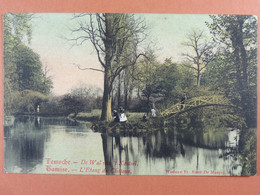 Tamise L'Etang Du Château - Temse