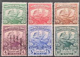 NEWFOUNDLAND 1919 - MNG, Canceled - Sc# 115, 116, 117, 118, 119, 122 - Caribou - 1908-1947