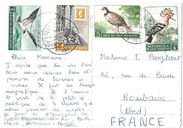 SAINT MARIN 1960, OISEAUX, JUBILE DE LA SICILE SUR CARTE SALUTI DALLE  REPUBBLICA DI S. MARINO, POUR ROUBAIX NORD FRANCE - Storia Postale