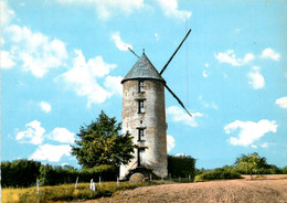 Derval * Le Moulin à Vent Du THU * Molen - Derval