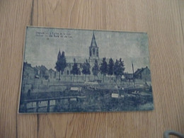 CPA Belgique Belgie Deinze Deynze L'église Et Le Lys - Deinze