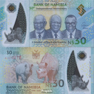 Namibia - Südwestafrika Pick-Nr: NEW Bankfrisch 2020 30 Namibia Dollars - Namibia