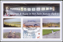 DUOSTAMP/MYSTAMP** - FDC -  Avocette élégante / Kluut / Avocet / Recurvirostra Avosetta - Zwin - BUZIN - 2011-2014