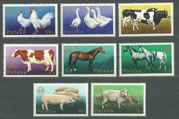 Poland, 1975 (#2375-82a), Animal Birds Domestic Husbandry Chickens Geese Cows Horses Pigs Sheep Tiervögel Haushaltung - Agriculture