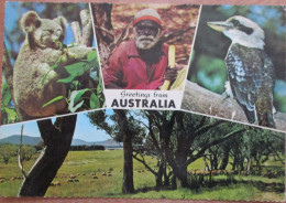 AUSTRALIA NATIV ISLAND PC CPA CPM POSTCARD PICTURE CARTOLINA PHOTO CARD KARTE - Dubbo