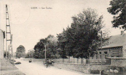LIBIN   Les écoles  Animée  Circulé En 1924 - Libin