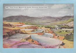 PULPIT  TERRACE  ,  MAMMOTH HOT  SPRINGS -  YELLOWSTONE NATIOMAL PARK  - - Yellowstone