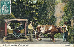 MADEIRA CARRO DE BOIS ATTELAGE TRAINEAU BOEUF BOVIN BEEF PORTUGAL 1912 - Madeira