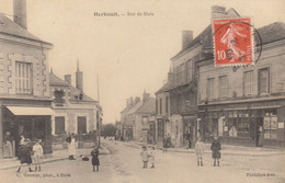 41 /   Herbault :  Rue De Blois      ///  Ref.  Mars. 21 //   BO. - Herbault