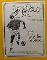 18488 - FC Vallée De Joux Tartegnin Les Caillates - Fussball