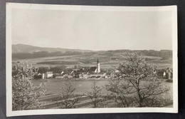 Pöchlarn Ortsansicht Gestempelt 1951 - Pöchlarn