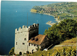 9238 Vignobles De Lavaux(Lac Léman)-La Tour De Marsens Et Cully - Marsens