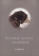 POLAND 2007 Souvenir Booklet / Polish Arabian Horses, Studs Champions, Animals, Exellent Racers / Full Sheet MNH**FV - Postzegelboekjes
