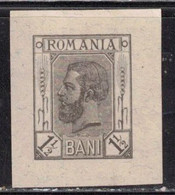 ROMANIA Like Scott # 118 Unused - Proof ? Postal Stationery ? Not Sure - Autres & Non Classés