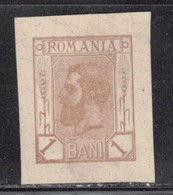 ROMANIA Like Scott # 117 Unused - Proof ? Postal Stationery ? Not Sure - Autres & Non Classés