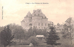 Ciney - Le Château Du Sainfoin (Phot. J Pesesse) - Ciney