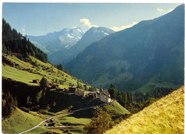 Binn Wallis, Hillenhorn - Zwitserland, Swisse, Schweiz - Horn