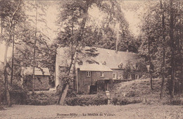 Hamme Mille, Le Moulin De Valduz (pk78418) - Beauvechain