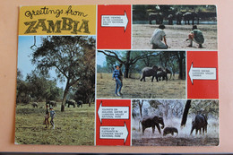 Greetings From Zambia - Multivues - Zambie