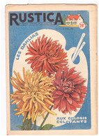 RUSTICA. 1956. N°16. Les Dahlias Aux Coloris éclatants - Garden